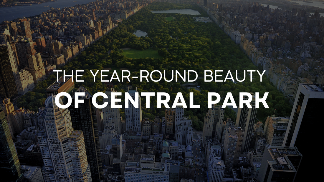 The Year-Round Beauty of Central Park